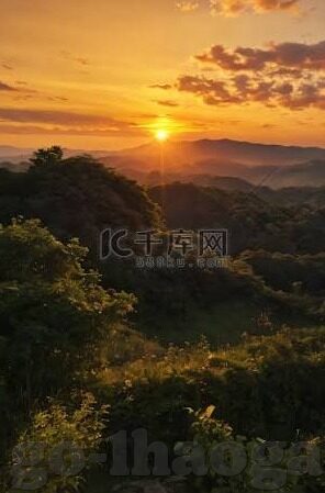 森林舞会新手送金币-森林舞会，新手在绿意盎然中的金币之旅