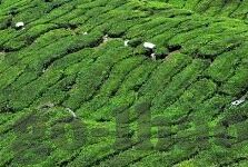 足球比分负其他-足球世界里的负其他，一场比分背后的戏剧与哲学